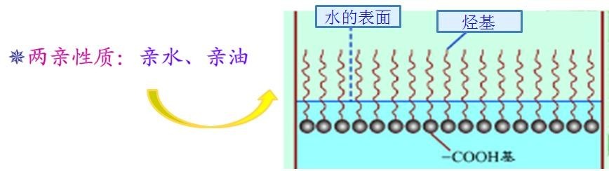 <a href='http://www.gyd688.com/product/product-0001,0011,0018.shtml' class='keys' title='點擊查看關于潤濕劑的相關信息' target='_blank'>潤濕劑</a>